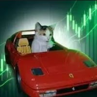 No Risk No Rari profile picture